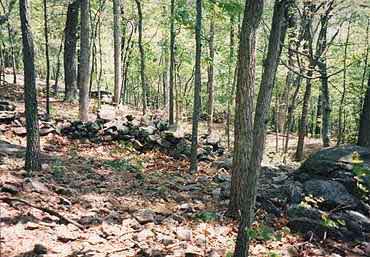 photo of  Union's left line on Little Round Top
