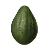 Taft avocado