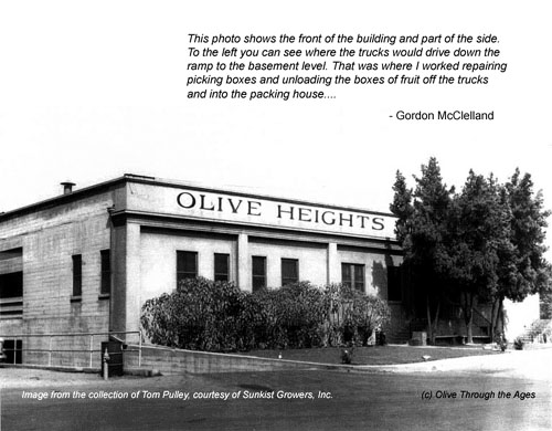 Olive Heights Citrus Association, 1960s - page 02