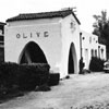 Olive depot, 1961