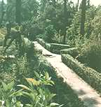 Garden at the Alcazar in Seville by CNO