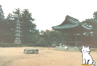 Yuki Neko at Yashimaji Temple