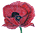 poppy by DLO